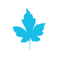 leaf icon
