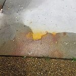 Concrete Cleaning Services rust removal