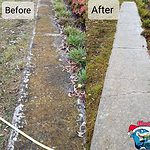Before and after photo of a dirty sidewalk that was cleaned in Harrison TN