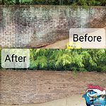 Before and after photo of dirty brick wall that was pressure washed in Ooltewah TN